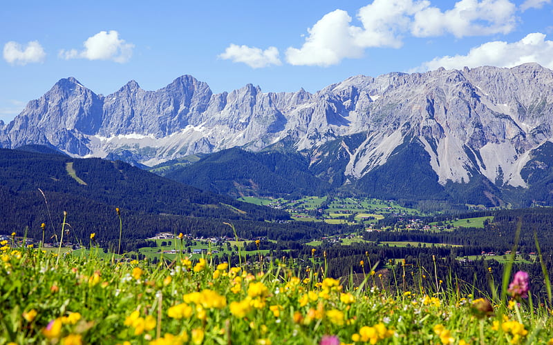 Austria alpine meadows, mountains, Austrian Alps, summer, Europe, Alps, HD wallpaper