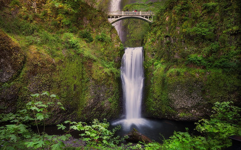 Multnomah Falls, Waterfall, rock, USA, Oregon, Columbia River Gorge, Benson Bridge, HD wallpaper
