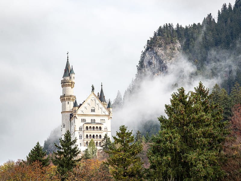 germany, castle, fog, HD wallpaper