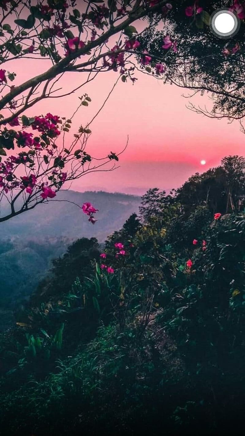 Blossom falls, nature, sunset, HD phone wallpaper Blossom falls, nature, sunset, HD phone wallpaper