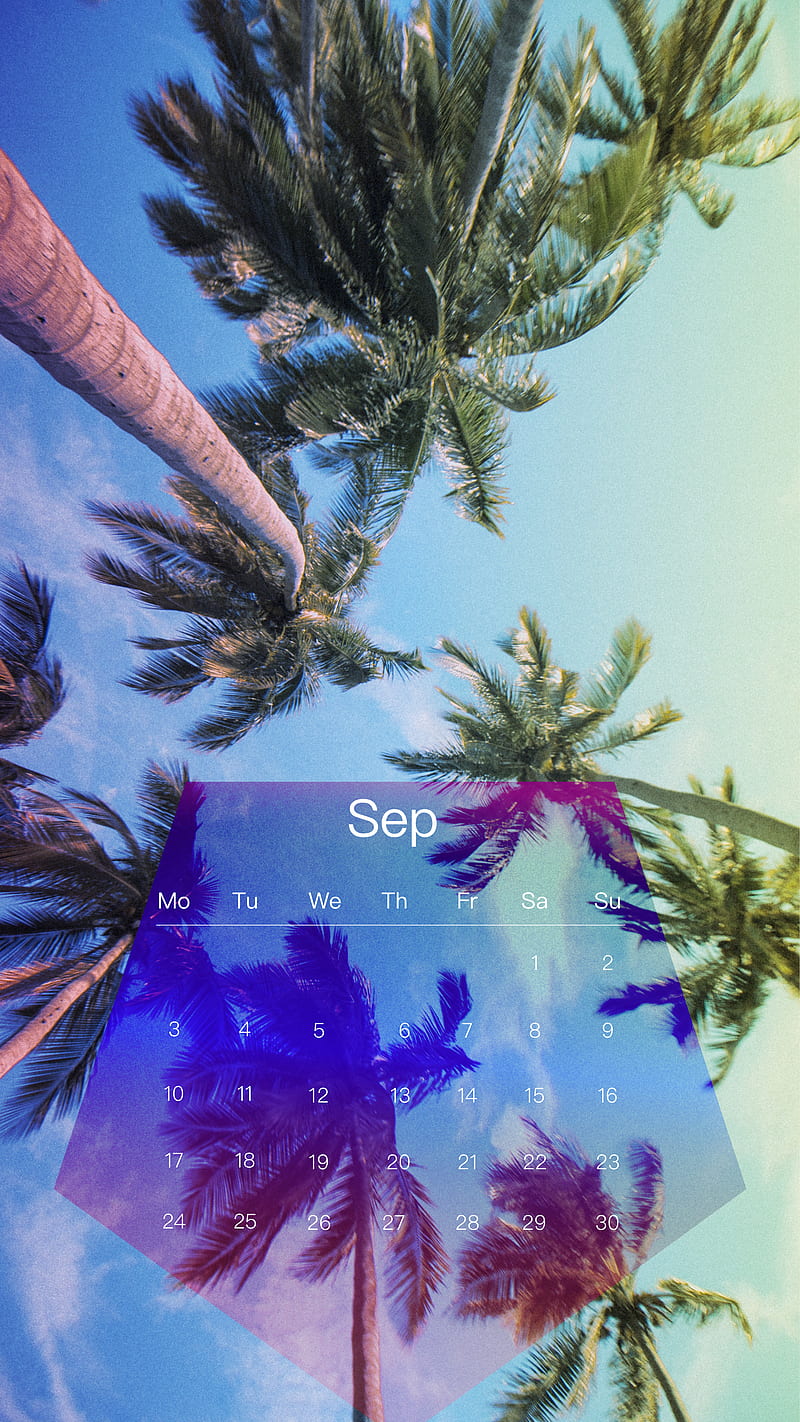 Palm Trees Sep, cal, calendar, september, zcalsep18, HD phone wallpaper
