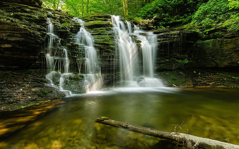 Forest green waterfalls-Wonderful Nature, HD wallpaper
