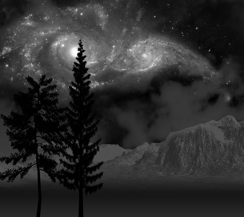 Lonely, black, cute, galaxy, monochrome, night, tree, HD wallpaper