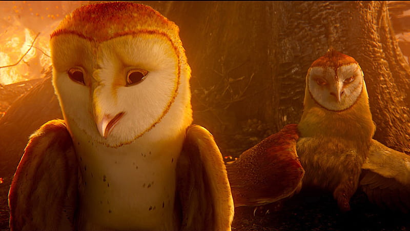 Legend of the Guardians-The Owls of GaHoole movie 16, HD wallpaper