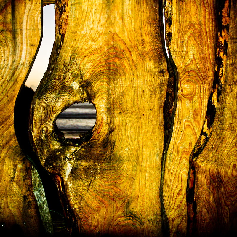 wood fence, wood texture, wood, yellow, HD phone wallpaper
