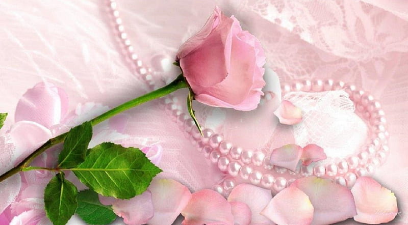 A woman, rose, lace, pearls, Necklace, pink, HD wallpaper