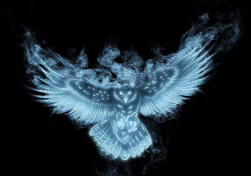 Owl, luminos, harry potter, black, spirit, fantasy, bird, tribalchick101, patronus, blue, HD wallpaper