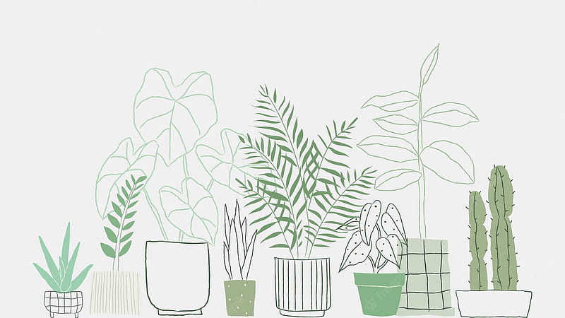 Plant . Vectors, Stock & PSD, Simple Plant Aesthetic, HD wallpaper
