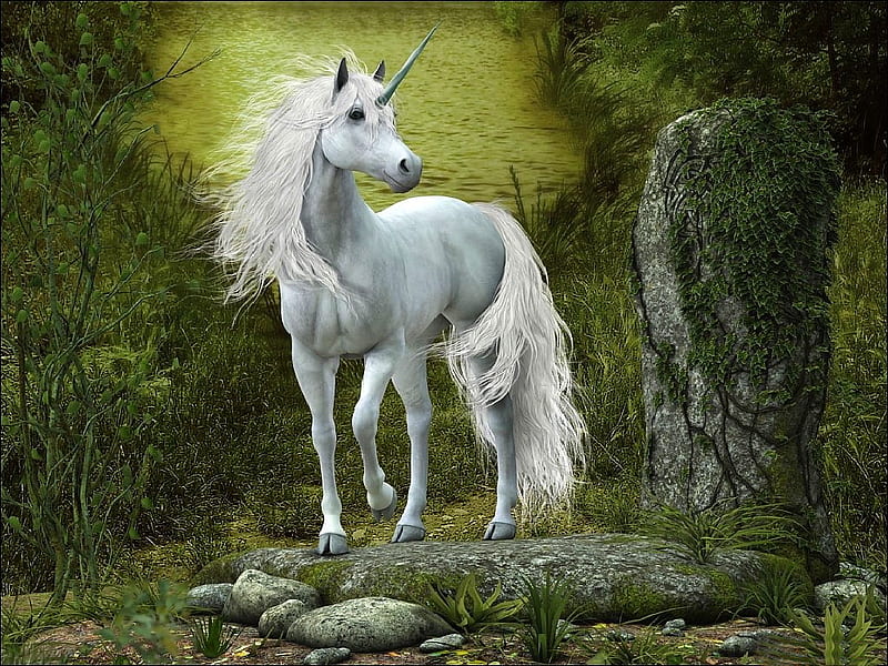 White unicorn, unicorn, colors, bonito, fairytale, horse, animal, fantasy, splendor, white, HD wallpaper