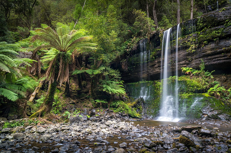 Russell Falls, Tasmania, australia, waterfall, nature, trees, HD wallpaper
