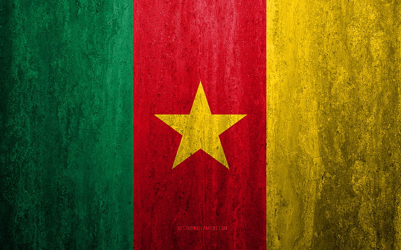 Flag of Cameroon stone background, grunge flag, Africa, Cameroon flag, grunge art, national symbols, Cameroon, stone texture, HD wallpaper