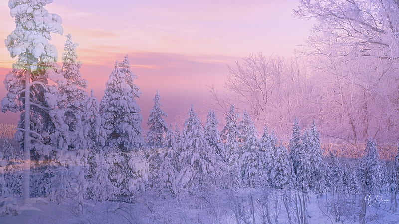 Winter Collage, snow, sunsets, mountains, forests, collage, trees, pink ...