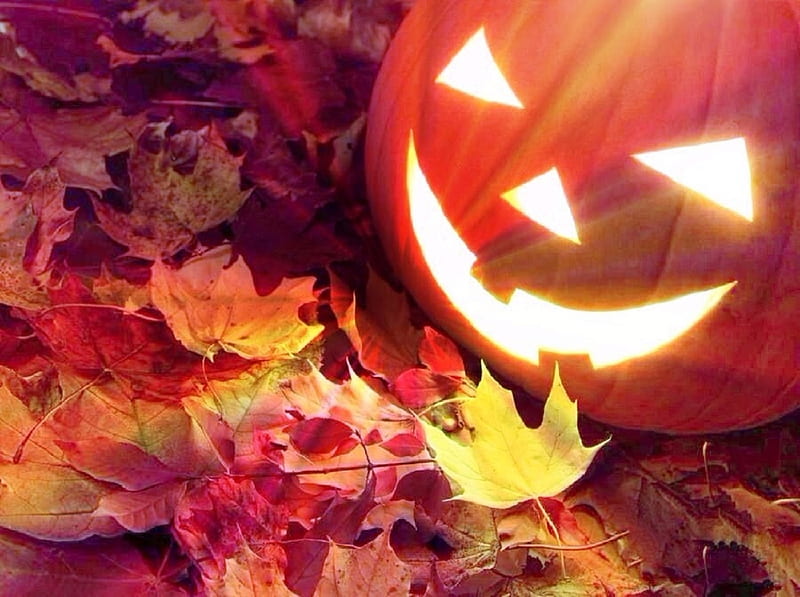 Autumn Halloween, carved, colorful, fall season, autumn, holiday, halloween, love four seasons, leaves, graphy, pumpkin, HD wallpaper