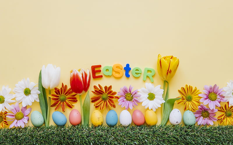 Easter, red tulips, Easter decoration, spring flowers, Easter eggs, HD wallpaper