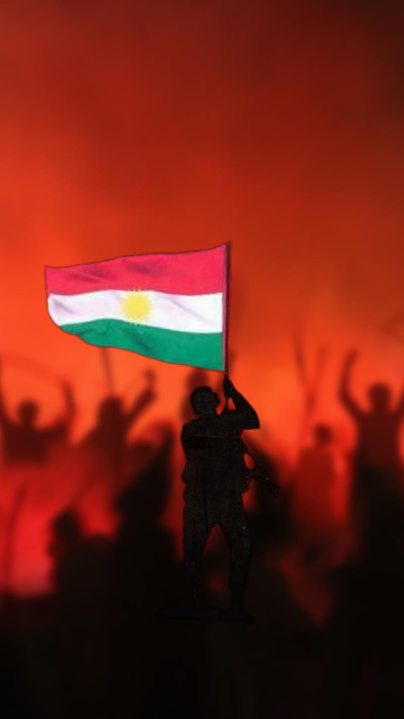 Kurdistan Kurdish flag flag