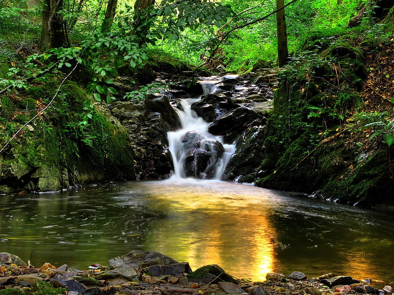 spain, stream, water, aragon, waterfall, creek, forest, Nature, HD wallpaper