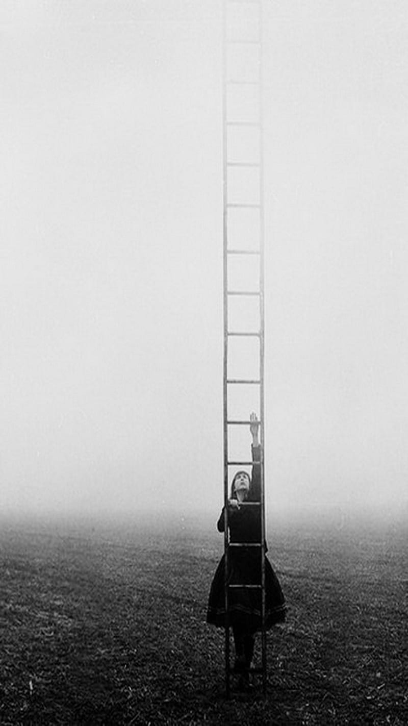Ladder, climb, imagination, imagine, HD phone wallpaper