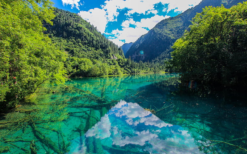 Jiuzhaigou National Park summer, forest, blue river, Asia, China, Jiuzhaigou, HD wallpaper