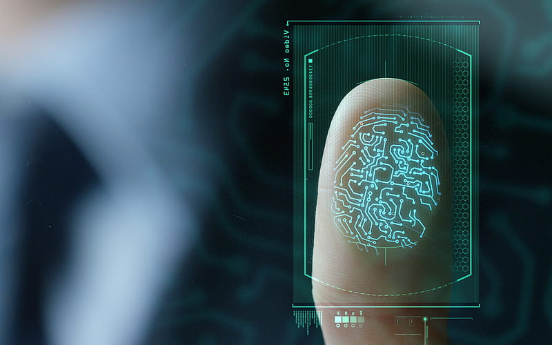 Fingerprint identification, digital fingerprint, safety concepts, security, personal identification, HD wallpaper