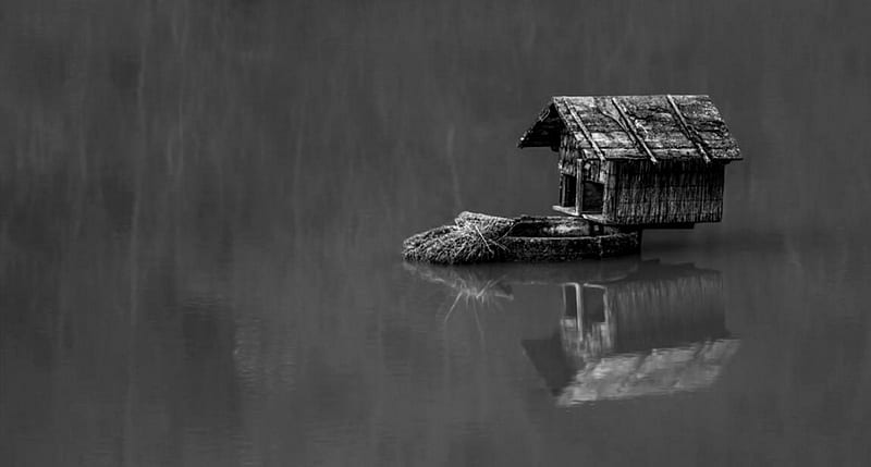 more, it does not need ..., house, bw, home, black, white, let thoughts run wild, HD wallpaper