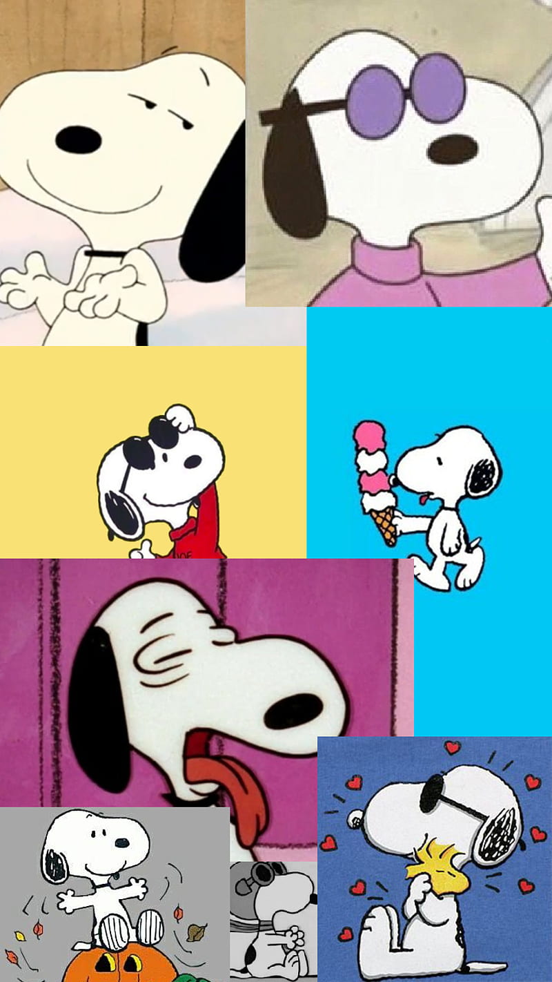 Snoopy, estéticas, dibujos animados, colores, perros, gafas, niños, snoopy  tumblr, Fondo de pantalla de teléfono HD | Peakpx
