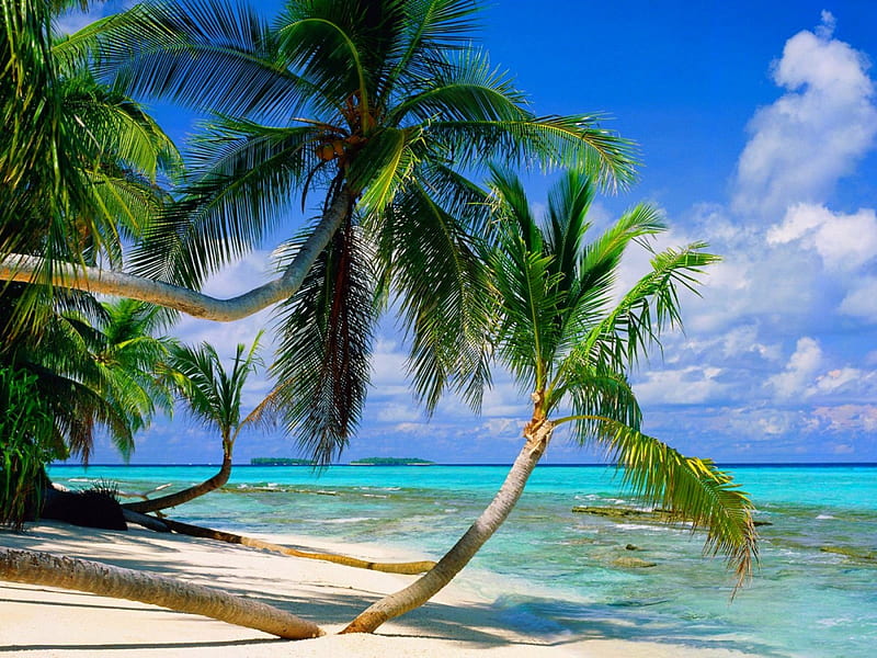 Tropical Paradise, Tepuka Island, white sand, Tuvalu, exotic, travel, relax, bonito, turquoise ocean, clouds, palm trees, sea, beach, paradise, summer, tropical, HD wallpaper