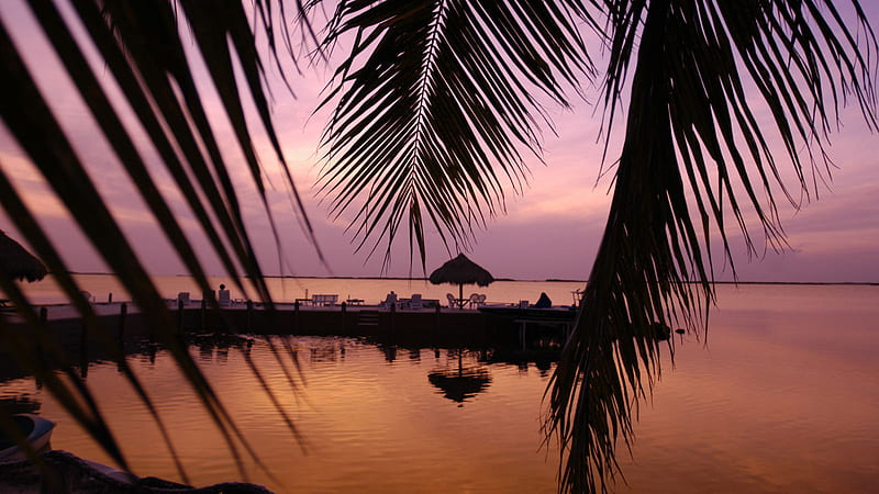 Florida Keys: Best stops on the Overseas Highway, Key West Sunset, HD wallpaper