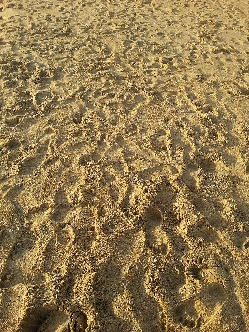 2K free download | Sea sand, beach, gold sea, golden, sl beach, sl sea ...