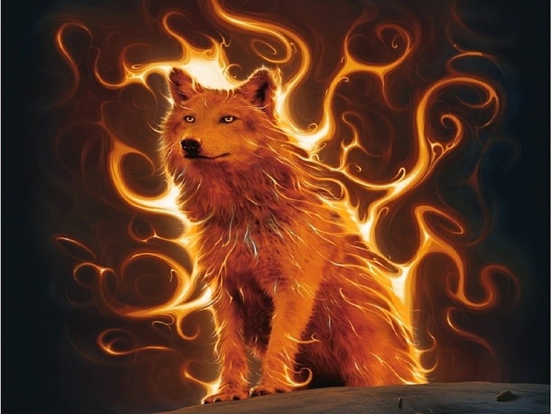 WOLF PHOENIX, fire, wolf, phoenix, animal, HD wallpaper