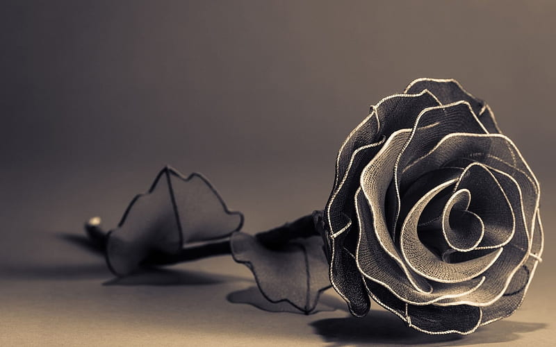 Rose, art, gray, craft, HD wallpaper