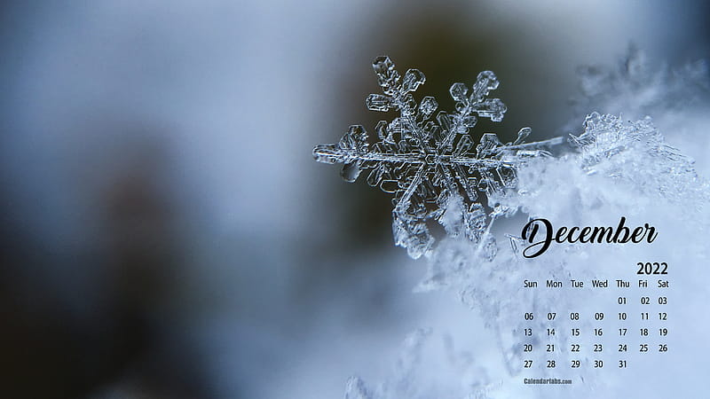 December 2022 Calendar HD wallpaper  Peakpx