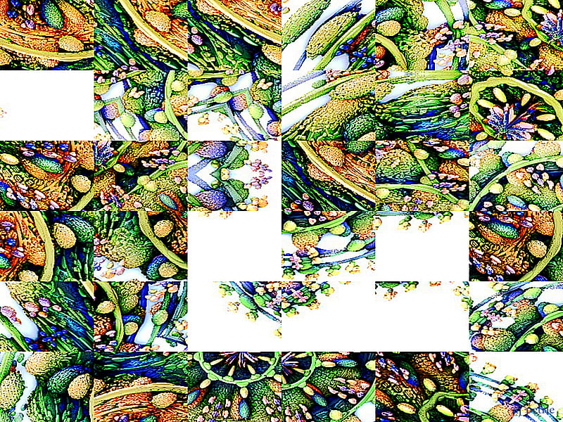 Alien Garden, hop, fantasy, abstract, fractal, HD wallpaper Alien Garden, hop, fantasy, abstract, fractal, HD wallpaper