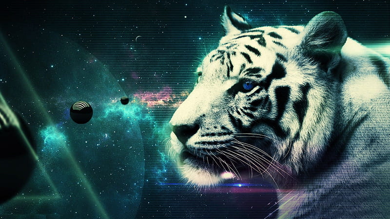 tiger, feline, planet, cat, galaxy, HD wallpaper
