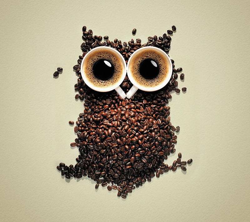 Coffe Bean Owl, bird, cool, desenho, HD wallpaper