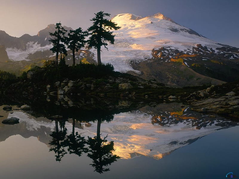 Mount Baker, mountain, tree, usa, nature, lake, HD wallpaper
