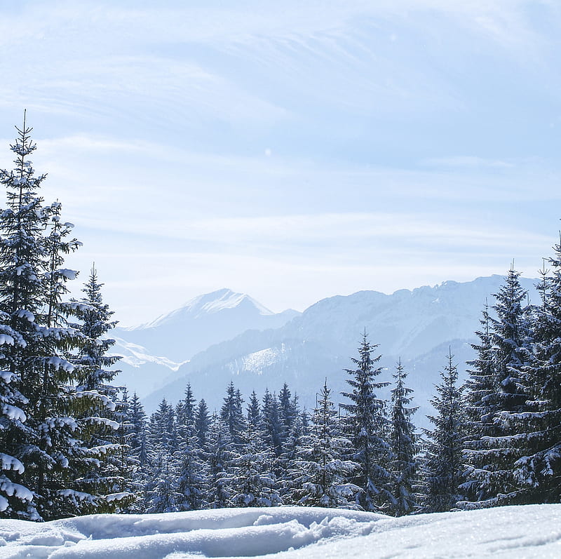 Polish Mountains, pfurman, tatry, winter landscape, HD wallpaper