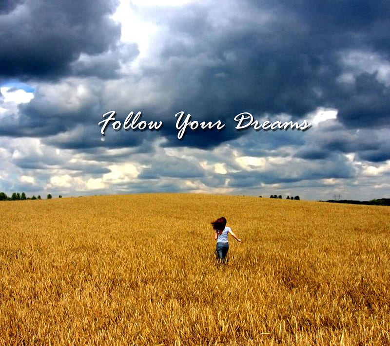 Follow Your Dreams, amazing, best, cool, inspiration, new, sign, HD wallpaper