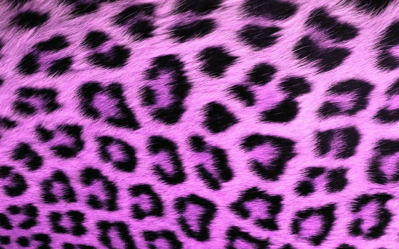 Purple Leopard, Cute, Purple, Leopard Print, Girly, HD wallpaper