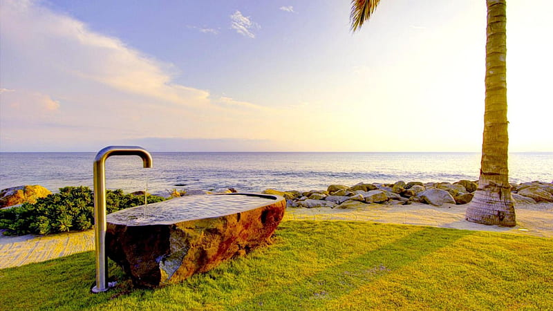 lovely trough on a tropical seashore, shore, palm, sunshine, sea, trough, HD wallpaper