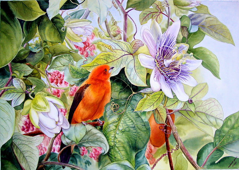 Flowers and birds, pasaari, art, bird, flower, painting, greg giordano, pictura, HD wallpaper