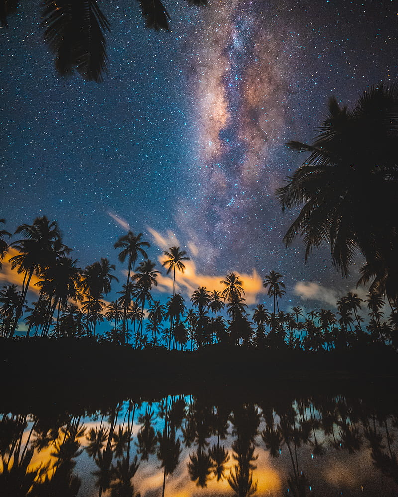 palm trees, starry sky, milky way, stars, night, HD phone wallpaper
