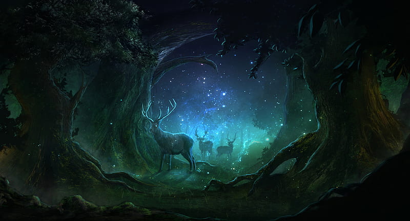 deer, forest, night, lights, magic, HD wallpaper