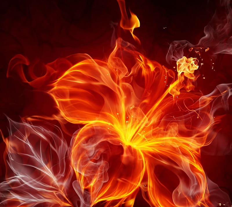 Fire flower, burnt, flames, red, HD wallpaper