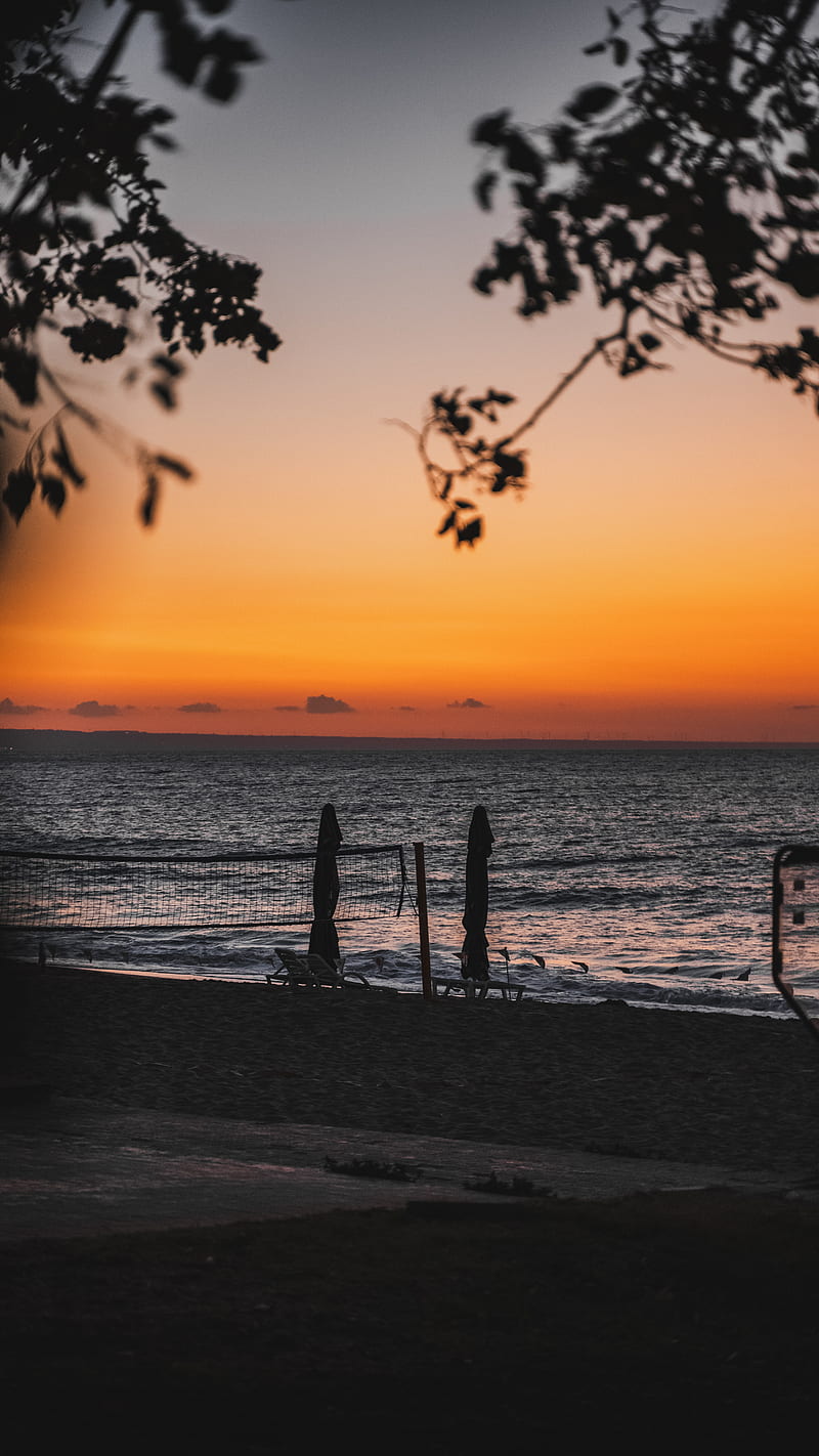 Sunset, beach, bonito, bulgaria, iconic, iconicmedia, nature, sony, tree, warna, HD phone wallpaper