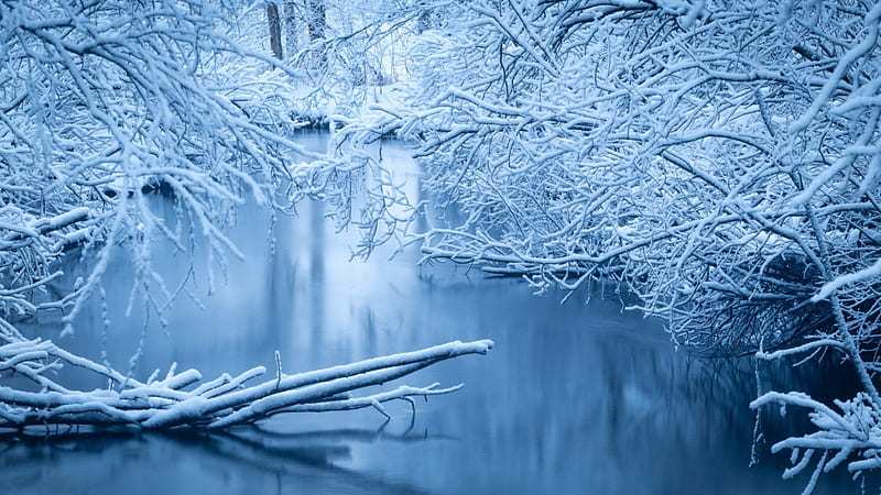 Free download Cold Winter Wallpapers HD Wallpapers 2560x1600 for your  Desktop Mobile  Tablet  Explore 46 Cold Winter Wallpaper  Daytime Cold  Weather Wallpaper Stone Cold Steve Austin Wallpaper Captain Cold Wallpaper