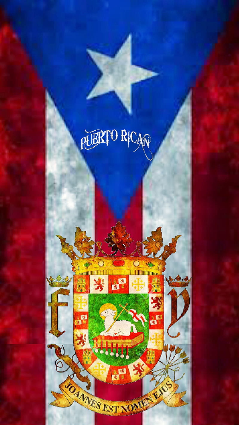 Puerto Rico Flag, blue, boricua, borinquen, coat of arms, isla del encanto, pride, red, rustic, star, white, HD phone wallpaper