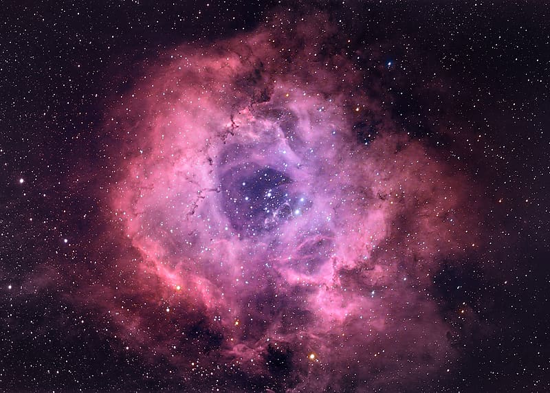 Stars, Nebula, Space, Sci Fi, Cosmos, Rosette Nebula, HD wallpaper