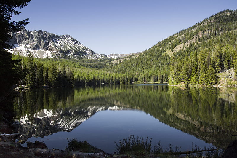 lake, mountains, trees, spruce, landscape, reflection, HD wallpaper