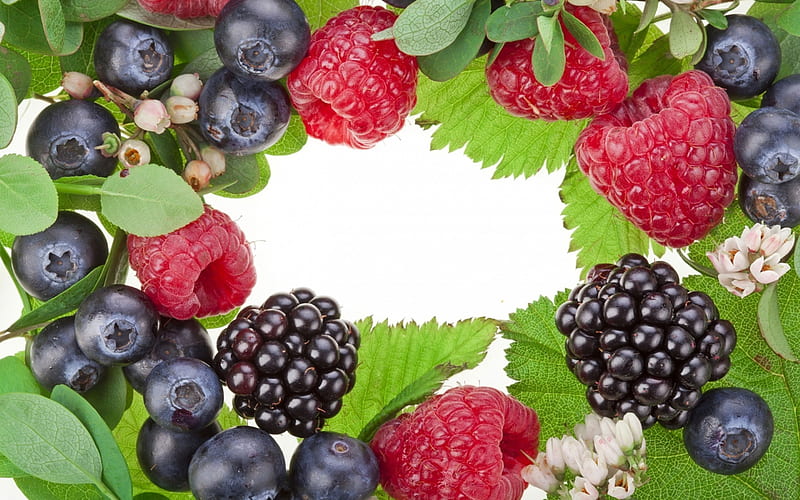 Berries, red, food, black, sweet, dessert, leaf, fruit, green, berry, raspberry, white, HD wallpaper