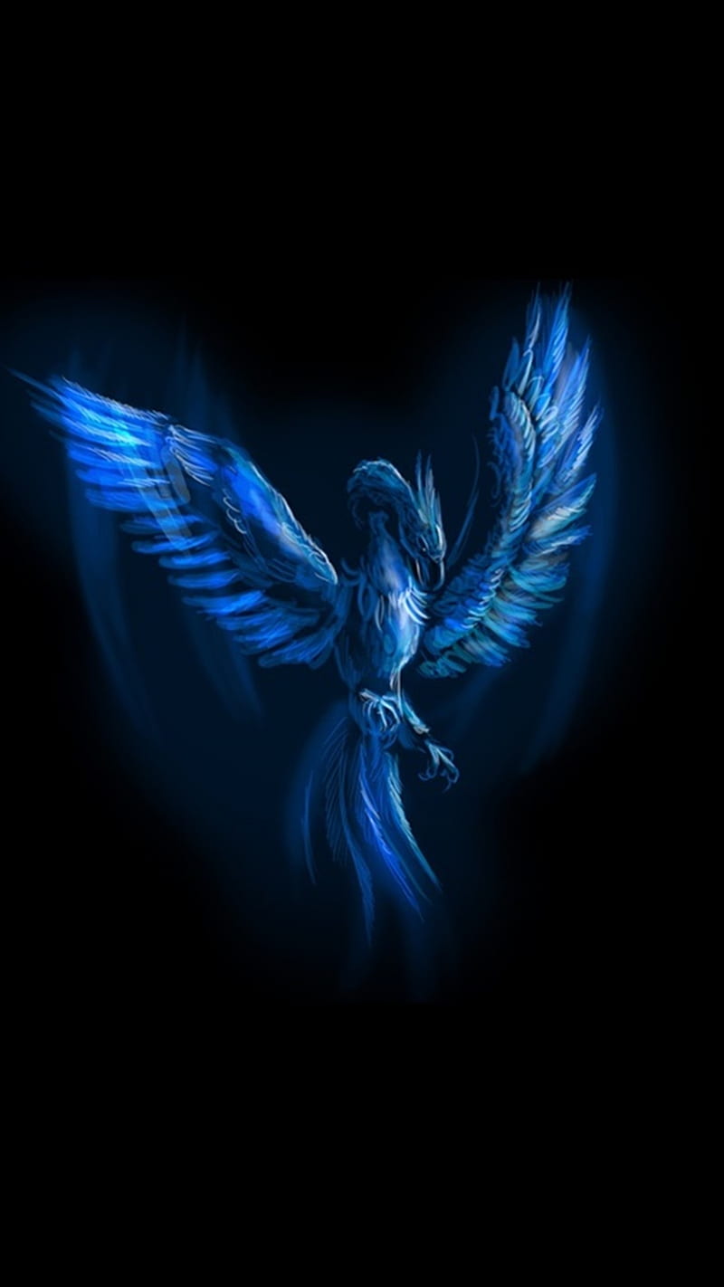 Blue Phoenix, blue, phoenix, HD phone wallpaper